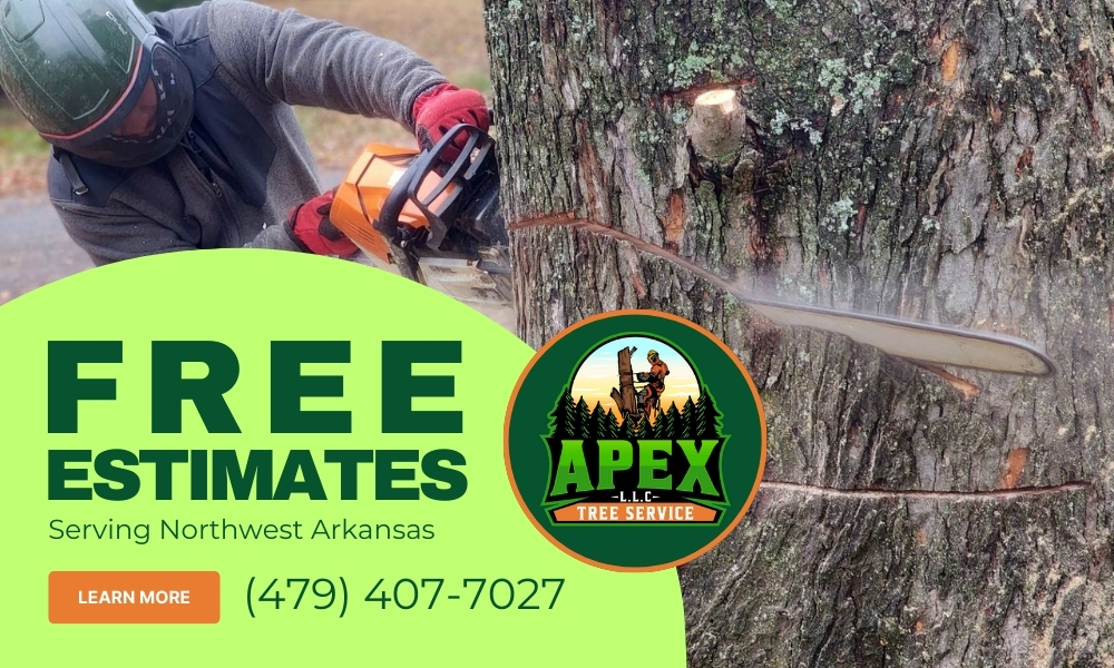 Apex tree Service - Free Estimates Ad